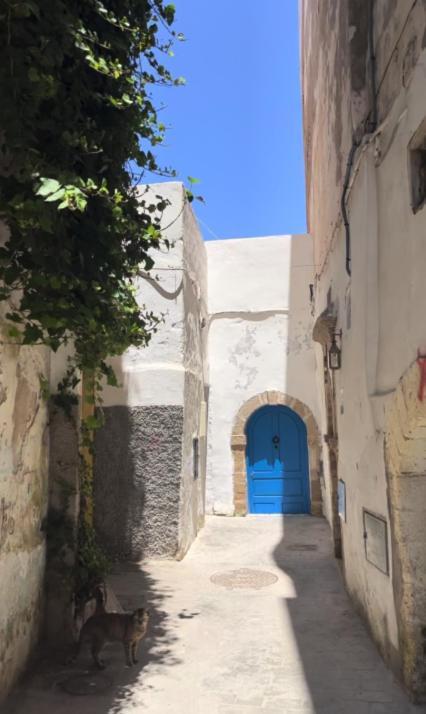 Riad Petite Reverie Szavíra Kültér fotó
